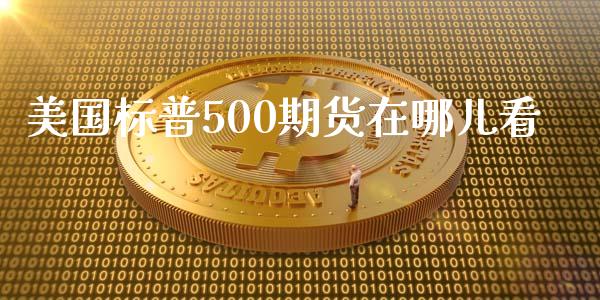 美国标普500期货在哪儿看_https://www.hbaoqiang.com_国际期货_第1张