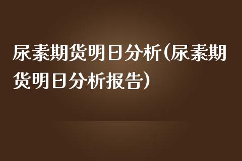 尿素期货明日分析(尿素期货明日分析报告)_https://www.hbaoqiang.com_期货直播_第1张