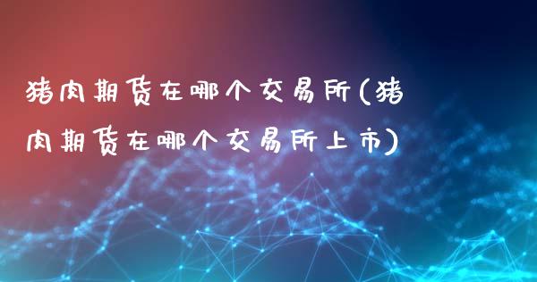 猪肉期货在哪个交易所(猪肉期货在哪个交易所上市)_https://www.hbaoqiang.com_期货直播_第1张