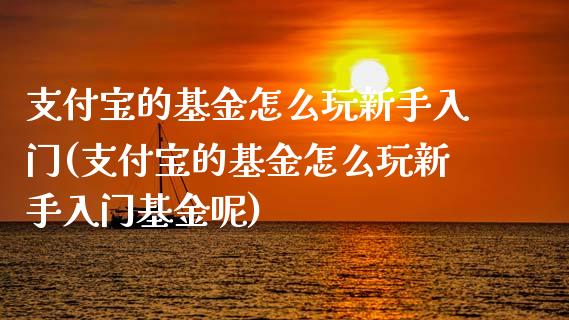 支付宝的基金怎么玩新手入门(支付宝的基金怎么玩新手入门基金呢)_https://www.hbaoqiang.com_期货平台_第1张