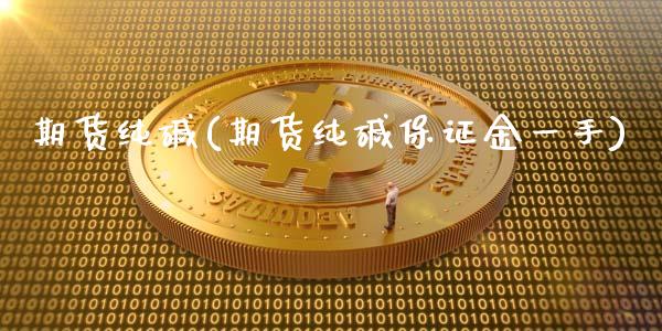 期货纯碱(期货纯碱保证金一手)_https://www.hbaoqiang.com_期货手续费_第1张