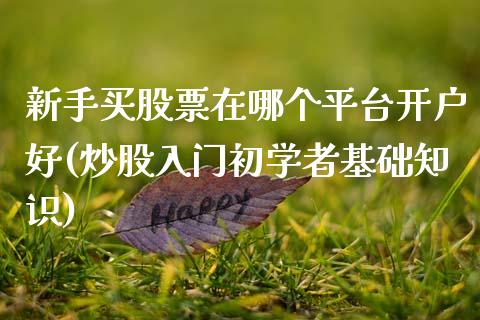 新手买股票在哪个平台开户好(炒股入门初学者基础知识)_https://www.hbaoqiang.com_内盘期货_第1张