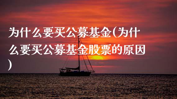 为什么要买公募基金(为什么要买公募基金股票的原因)_https://www.hbaoqiang.com_期货学习_第1张