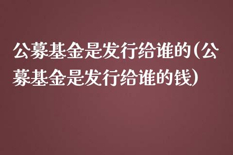 公募基金是发行给谁的(公募基金是发行给谁的钱)_https://www.hbaoqiang.com_期货行情_第1张