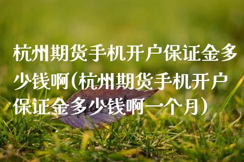 杭州期货手机开户保证金多少钱啊(杭州期货手机开户保证金多少钱啊一个月)_https://www.hbaoqiang.com_交易心态_第1张