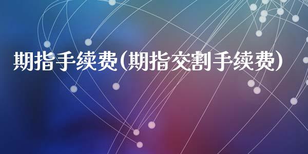期指手续费(期指交割手续费)_https://www.hbaoqiang.com_道指期货_第1张