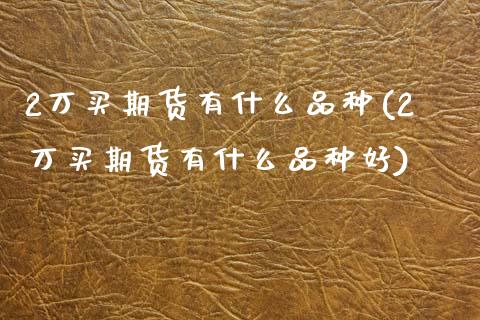 2万买期货有什么品种(2万买期货有什么品种好)_https://www.hbaoqiang.com_期货软件_第1张