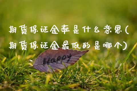 期货保证金率是什么意思(期货保证金最低的是哪个)_https://www.hbaoqiang.com_德指期货_第1张