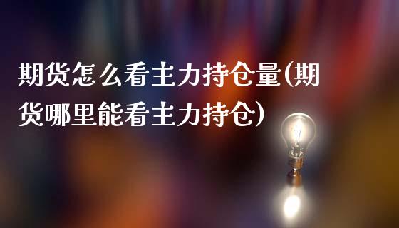 期货怎么看主力持仓量(期货哪里能看主力持仓)_https://www.hbaoqiang.com_国际期货_第1张
