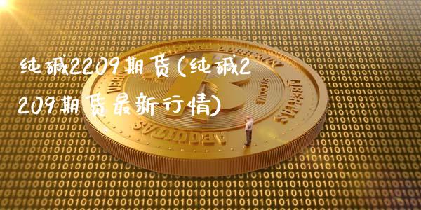纯碱2209期货(纯碱2209期货最新行情)_https://www.hbaoqiang.com_国际期货_第1张