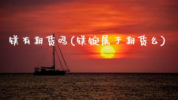 镁有期货吗(镁锭属于期货么)_https://www.hbaoqiang.com_原油期货_第1张