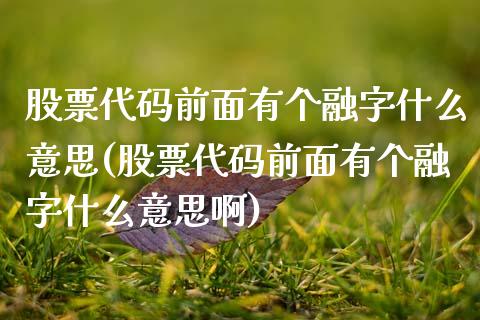 股票代码前面有个融字什么意思(股票代码前面有个融字什么意思啊)_https://www.hbaoqiang.com_实战心得_第1张