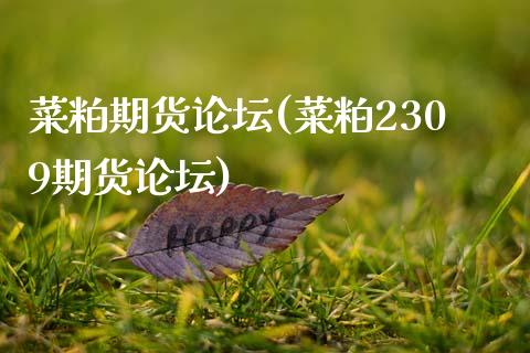菜粕期货论坛(菜粕2309期货论坛)_https://www.hbaoqiang.com_恒指期货_第1张