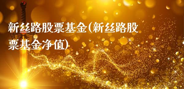 新丝路股票基金(新丝路股票基金净值)_https://www.hbaoqiang.com_德指期货_第1张