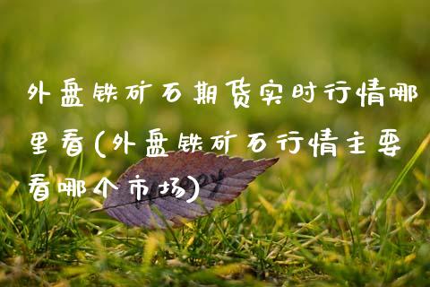 外盘铁矿石期货实时行情哪里看(外盘铁矿石行情主要看哪个市场)_https://www.hbaoqiang.com_理财百科_第1张