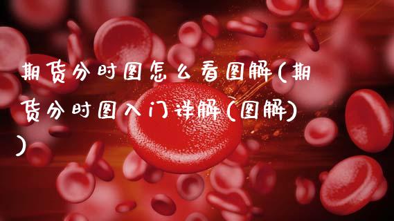 期货分时图怎么看图解(期货分时图入门详解(图解))_https://www.hbaoqiang.com_期货软件_第1张