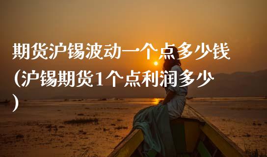 期货沪锡波动一个点多少钱(沪锡期货1个点利润多少)_https://www.hbaoqiang.com_期货手续费_第1张