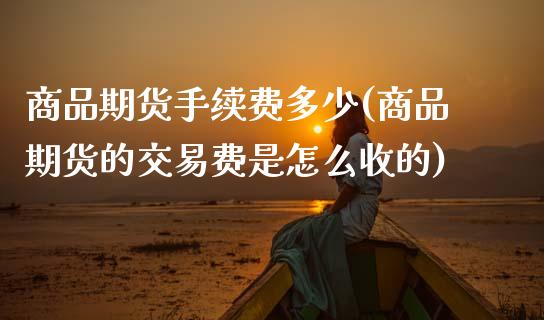 商品期货手续费多少(商品期货的交易费是怎么收的)_https://www.hbaoqiang.com_期货软件_第1张