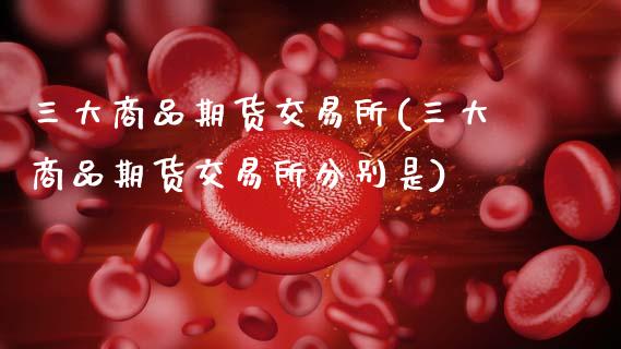 三大商品期货交易所(三大商品期货交易所分别是)_https://www.hbaoqiang.com_期货学习_第1张
