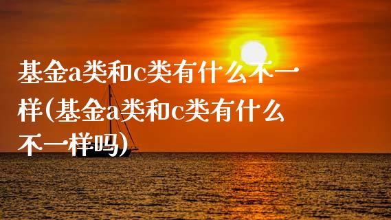 基金a类和c类有什么不一样(基金a类和c类有什么不一样吗)_https://www.hbaoqiang.com_实战心得_第1张