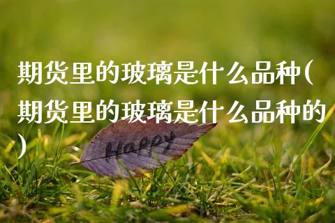 期货里的玻璃是什么品种(期货里的玻璃是什么品种的)_https://www.hbaoqiang.com_恒指期货_第1张