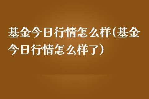 基金今日行情怎么样(基金今日行情怎么样了)_https://www.hbaoqiang.com_道指期货_第1张