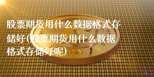 股票期货用什么数据格式存储好(股票期货用什么数据格式存储好呢)_https://www.hbaoqiang.com_德指期货_第1张