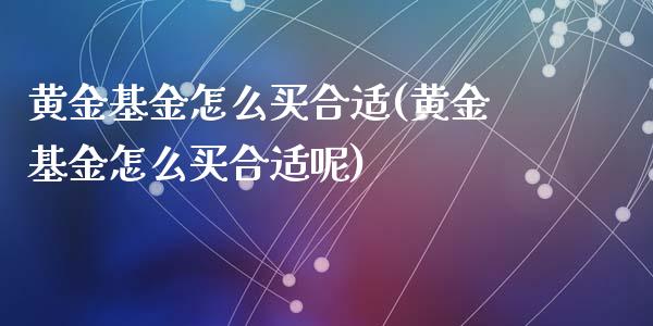 黄金基金怎么买合适(黄金基金怎么买合适呢)_https://www.hbaoqiang.com_期货软件_第1张
