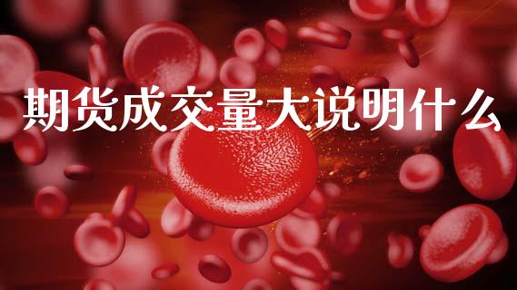 期货成交量大说明什么_https://www.hbaoqiang.com_期货行情_第1张