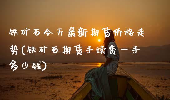 铁矿石今天最新期货价格走势(铁矿石期货手续费一手多少钱)_https://www.hbaoqiang.com_黄金期货_第1张